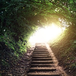 Staircase leading through the forest. Light at the end of the tunnel.